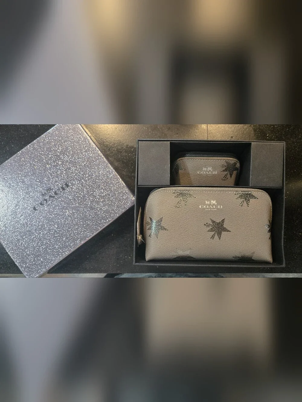Coach Gray Leather Cosmetic Bags with Metallic Star Accents